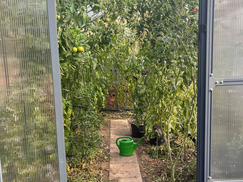 22-10-16 14-36-50 3060